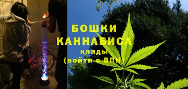 ALPHA PVP Верея