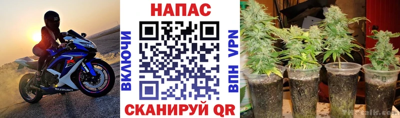 Купить  Иланский  Конопля THC 21% 